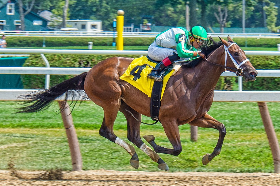 Reasons to Start Betting on Sports
